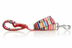 DOOG Hondenriem Neopreen Clip It Scooby -Hunter Winkel image 1868