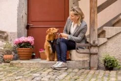 Curli Hondenriem Ultra Sterk Pocket Leash 12 Curli Hondenriem Ultra Sterk Pocket Leash -Hunter Winkel image 1883