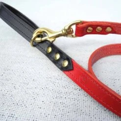 Houndworthy Hondenriem Bridle Leather Oxblood Red -Hunter Winkel image 1894