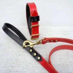 Houndworthy Hondenriem Bridle Leather Oxblood Red -Hunter Winkel image 1895