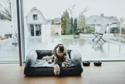 Hunter Orthopedische Hondenmand Livingstone -Hunter Winkel image 1925