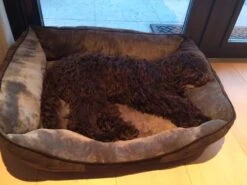 Scruffs Hondenmand Chester Graphite -Hunter Winkel image 1970