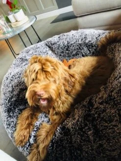 Bessie And Barnie Hondenmand Bagel Frosted Willow -Hunter Winkel image 1975