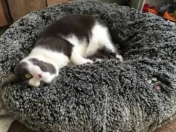 Bessie And Barnie Hondenmand Bagel Frosted Willow -Hunter Winkel image 1978