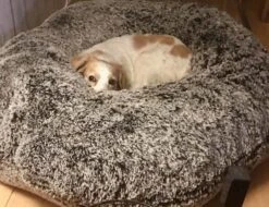 Bessie And Barnie Hondenmand Bagel Frosted Willow -Hunter Winkel image 1980