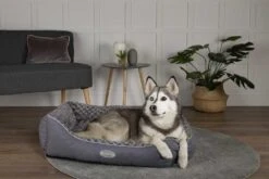 Scruffs Hondenmand Wilton Grijs 10 Scruffs Hondenmand Wilton Grijs -Hunter Winkel image 1996