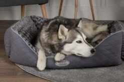 Scruffs Hondenmand Wilton Grijs 12 Scruffs Hondenmand Wilton Grijs -Hunter Winkel image 1998