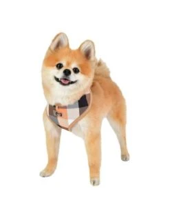 Puppia Hondentuig Quinn -Hunter Winkel image 2032