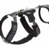 Hunter Veiligheidsharnas Maldon Zwart -Hunter Winkel image 2033