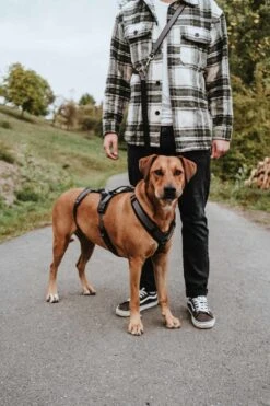 Uitgelichte producten -Hunter Winkel image 2034