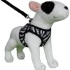 Doxtasy Hondentuig Comfy Harnass Zebra 1 Doxtasy Hondentuig Comfy Harnass Zebra -Hunter Winkel image 2047