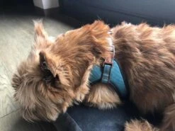 Uitgelichte producten -Hunter Winkel image 2055