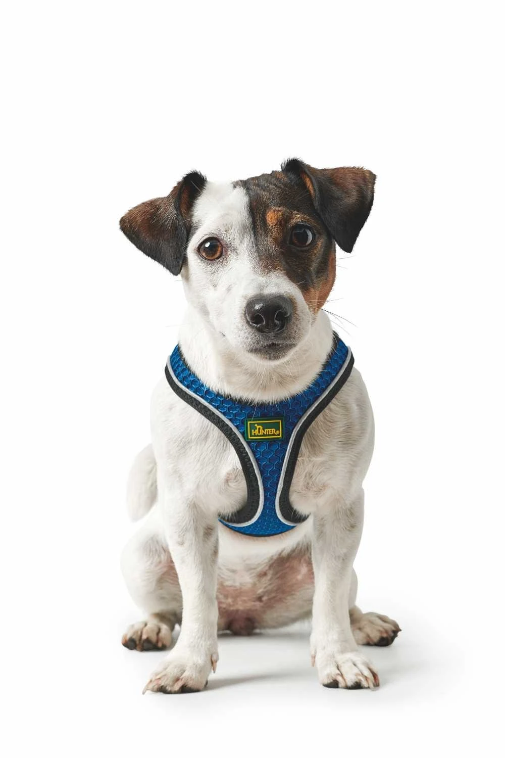 Hunter Hondentuig Hilo Comfort Blauw 4 Hunter Hondentuig Hilo Comfort Blauw - Afbeelding 2