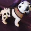 Puppia Hondentuig Soft Harness Beige -Hunter Winkel image 2066