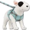 Doxtasy Hondentuig Comfy Harnass Scottish Turquoise -Hunter Winkel image 2071