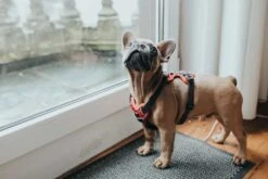 Uitgelichte producten -Hunter Winkel image 2076