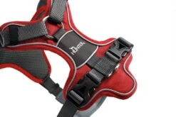 Hunter Hondentuig Divo Rood 13 Hunter Hondentuig Divo Rood -Hunter Winkel image 2080