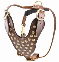 Dean And Tyler Hondentuig Stud Brother