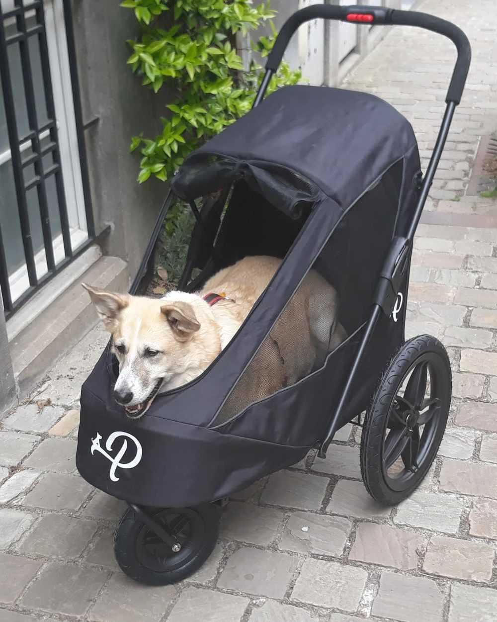 Petique Hondenbuggy Breeze 4 Petique Hondenbuggy Breeze - Afbeelding 2