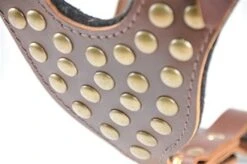 Dean And Tyler Hondentuig Stud Brother 9 Dean And Tyler Hondentuig Stud Brother -Hunter Winkel image 2091