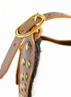 Dean And Tyler Hondentuig Stud Brother 10 Dean And Tyler Hondentuig Stud Brother -Hunter Winkel image 2092