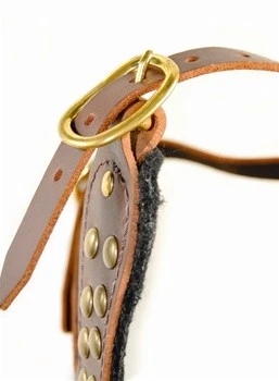 Dean And Tyler Hondentuig Stud Brother 6 Dean And Tyler Hondentuig Stud Brother - Afbeelding 4