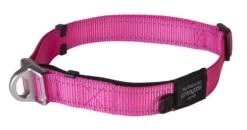 Hunter Winkel 23 Rogz Hondenhalsband Safety Roze