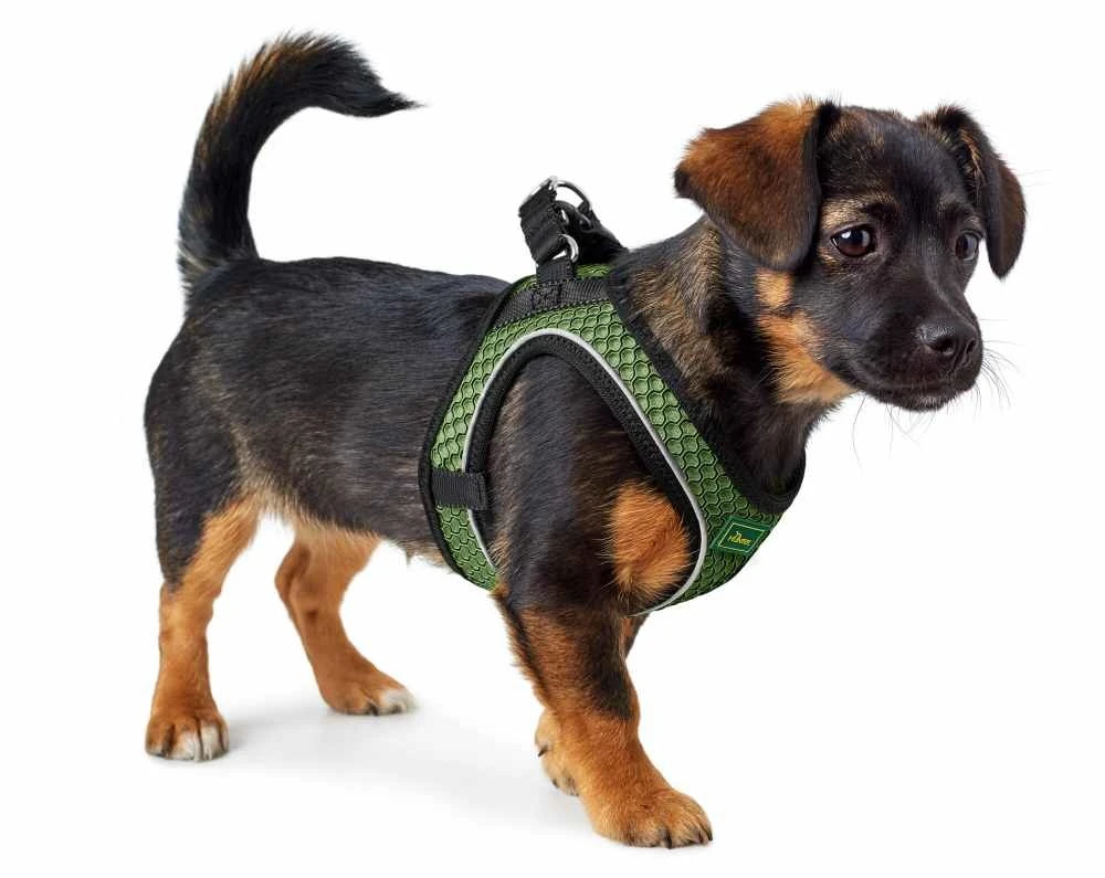 Hunter Hondentuig Hilo Comfort Linde Groen 4 Hunter Hondentuig Hilo Comfort Linde Groen - Afbeelding 2