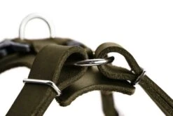 Hunter Hondentuig Aalborg Olive -Hunter Winkel image 2132