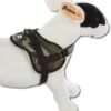 Doxtasy Hondentuig Survival Harness Camouflage -Hunter Winkel image 2133