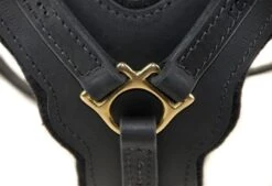 Dean And Tyler Hondentuig The Victory -Hunter Winkel image 2185