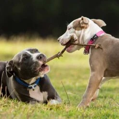 Hunter Winkel -Hunter Winkel image 22