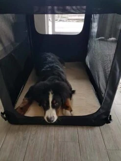 Maelson Reisbench Hond Soft Kennel Antraciet 19 Maelson Reisbench Hond Soft Kennel Antraciet -Hunter Winkel image 2298