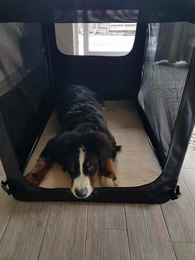 Maelson Reisbench Hond Soft Kennel Antraciet 11 Maelson Reisbench Hond Soft Kennel Antraciet - Afbeelding 9