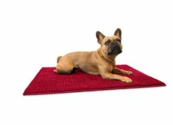 Hunter Droogloopmat Waterloo Rood