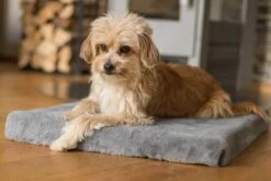 TrendPet Hondenkussen VitaMeDog Grijs