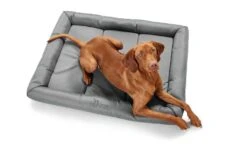 Hunter Hondenkussen Vermont Grijs