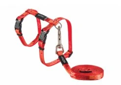 Rogz Kattentuig KiddyCat Tango Fisbone