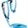 Rogz Kattentuig SparkleCat Turquoise -Hunter Winkel image 2508