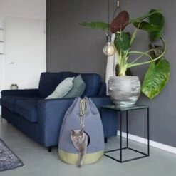 District70 Kattenmand Casa Moss Green