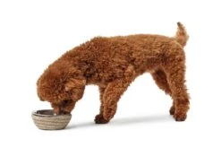 Hunter Drinkbak Of Voerbak Graz Beige -Hunter Winkel image 2570