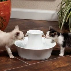 Petsafe Drinkfontein Drinkwell Avalon -Hunter Winkel image 2576