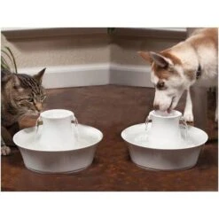 Petsafe Drinkfontein Drinkwell Avalon -Hunter Winkel image 2577