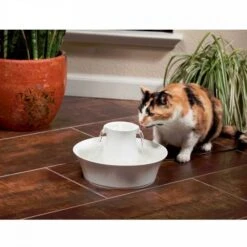 Petsafe Drinkfontein Drinkwell Avalon -Hunter Winkel image 2578