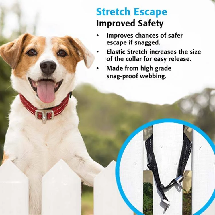 K9 Sport Sack Reisbench Hond 12 K9 Sport Sack Reisbench Hond - Afbeelding 10