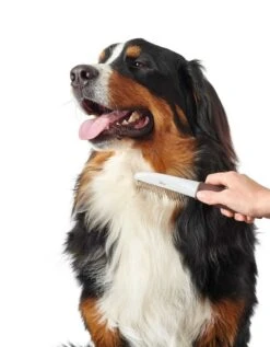 Hunter Hondenkam Spa Bewegende Tanden