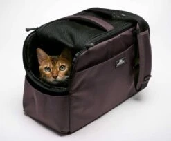 Sleepypod Draagtas Voor Huisdieren Atom Dark Chocolate -Hunter Winkel image 2658