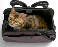 Sleepypod Draagtas Voor Huisdieren Atom Dark Chocolate -Hunter Winkel image 2660