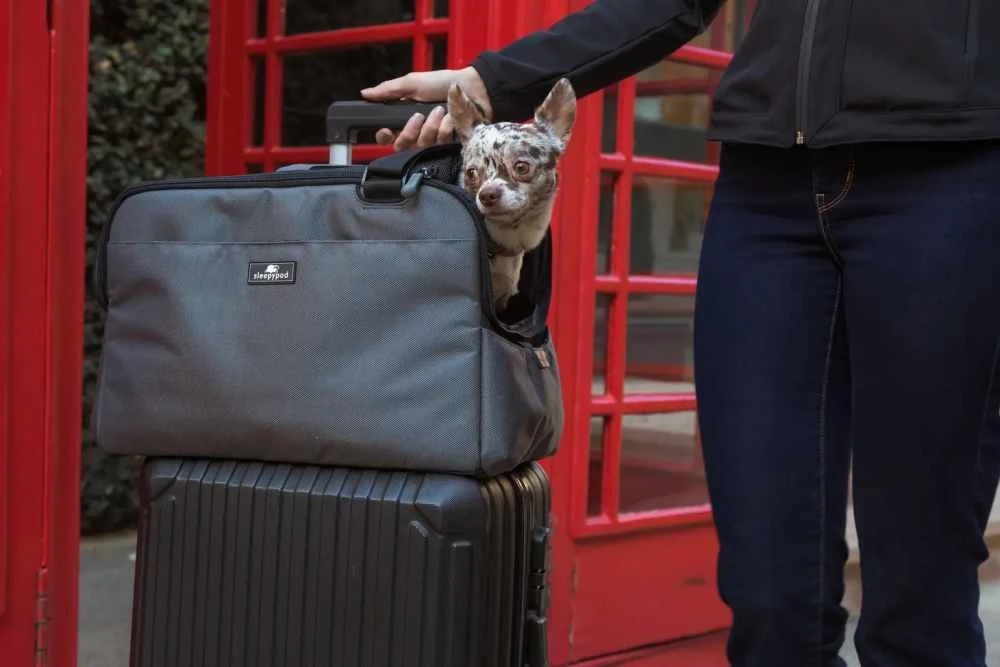 Sleepypod Draagtas Voor Huisdieren Atom Jet Black 5 Sleepypod Draagtas Voor Huisdieren Atom Jet Black - Afbeelding 3