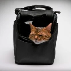 Sleepypod Draagtas Voor Huisdieren Atom Jet Black 13 Sleepypod Draagtas Voor Huisdieren Atom Jet Black -Hunter Winkel image 2665